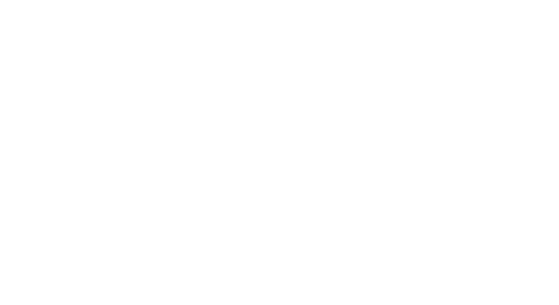 Logo NΞO Signum Software